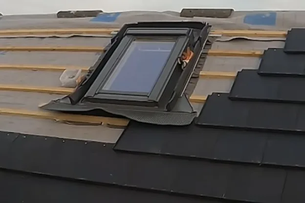 Velux & fenêtres de toit